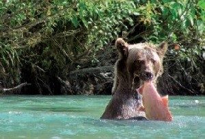 TopSeller Angebot Kanada-West