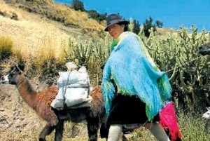 TopSeller Angebot Ecuador & Galapagos Inseln