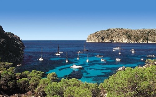 TopSeller Angebot Mallorca 