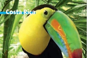 TopSeller Angebot Costa Rica