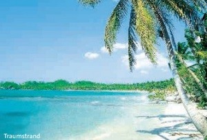 TopSeller Angebot DomRep