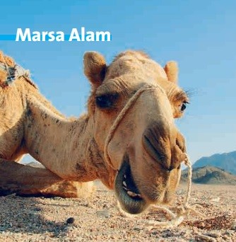 Ägypten - Marsa Alam