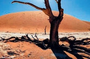 TopSeller Angebot Namibia